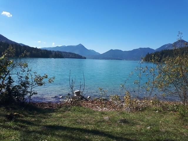 Forggensee mit Säulingblick