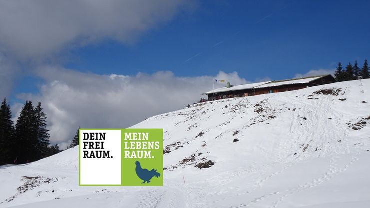 Von Balderschwang zur Oberen Mittelalpe (1.407m)