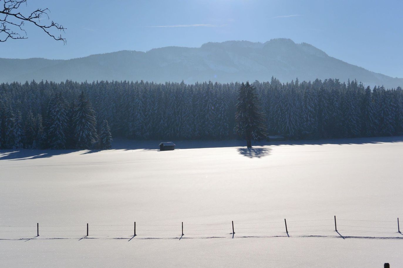 ein herrlicher Winter-Spaziergang zum Attlesee