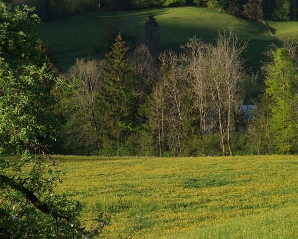 Ausblick Sommer