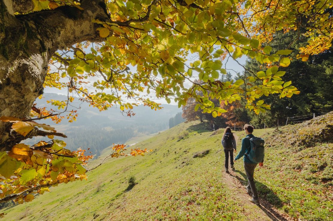 Herbst an der Fluh