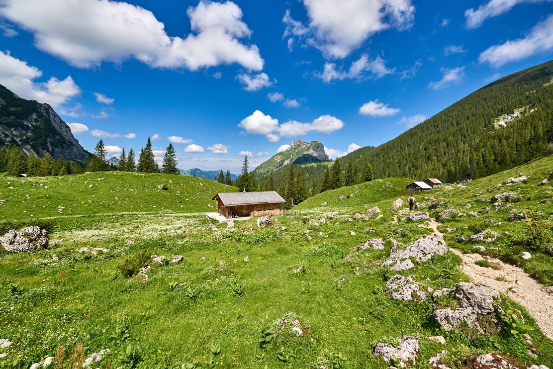 Sebenalm (1.650 m)