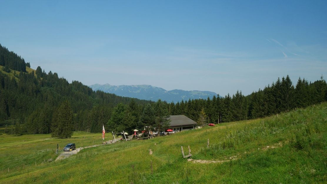 Blick auf die Strausbergalpe