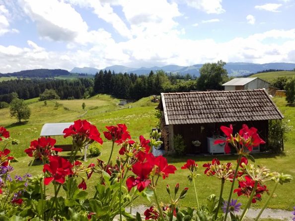 Aussicht vom Balkon