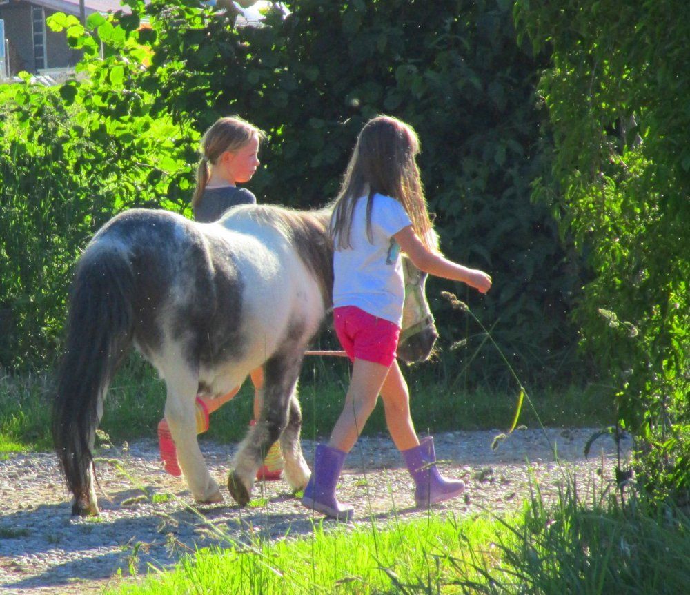 Pony fÃ¼hren