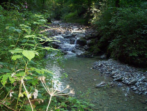 Hausbachklamm