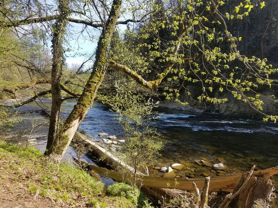 Nachmittagsstimmung an der Argen