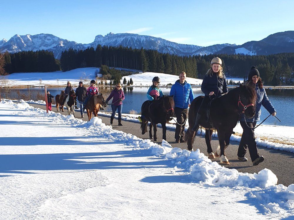 Traumhafter Wintertag