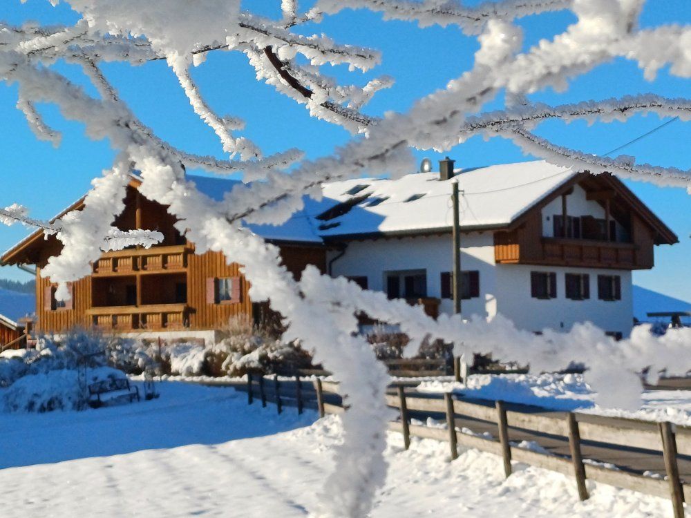 Fritzhof im Winter