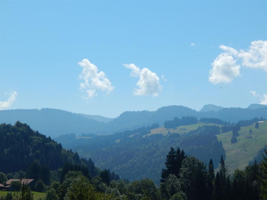 Sommerblick vom Balkon