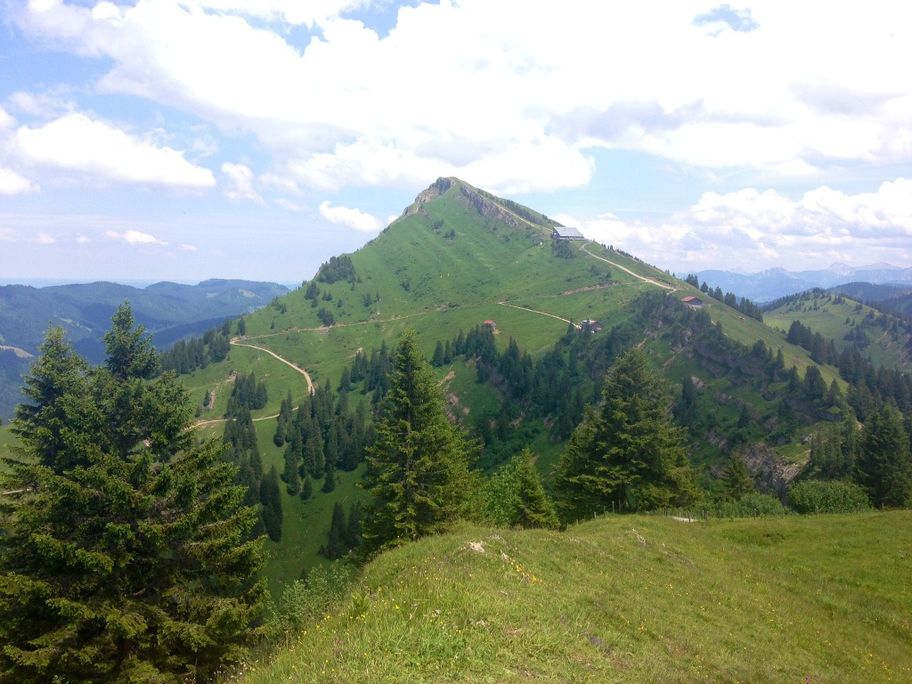 Seelekopf mit Blick zum Hochgrat