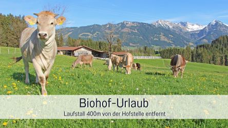 Biohof Burger Urlaub auf dem Biohof