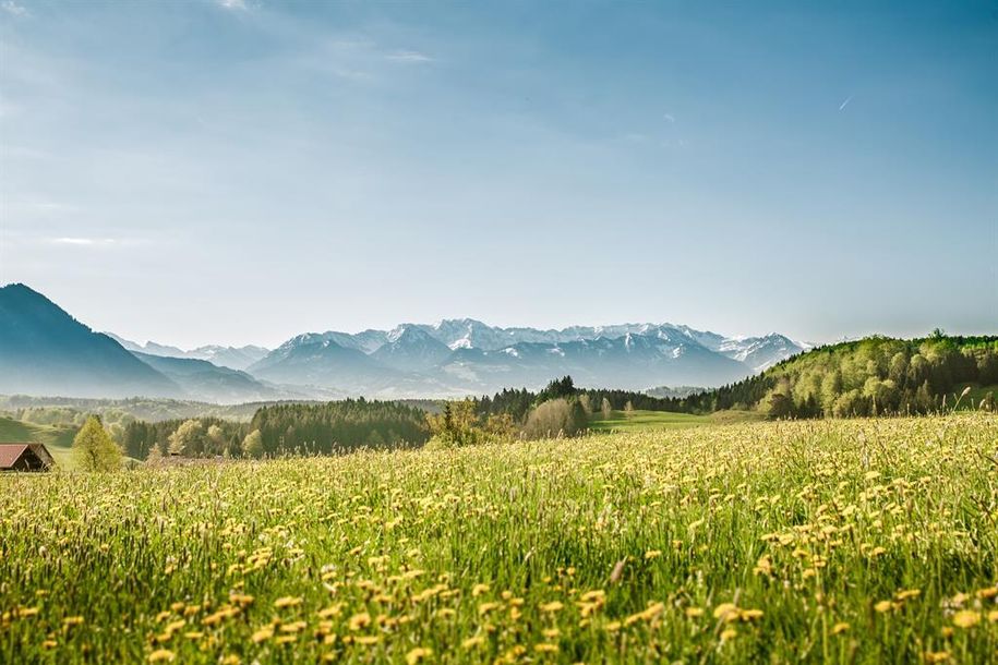 Natur pur um Haus und Hof