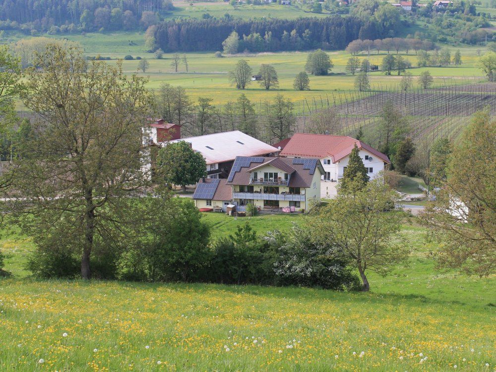 Sicht aus unserer Apfelplantage