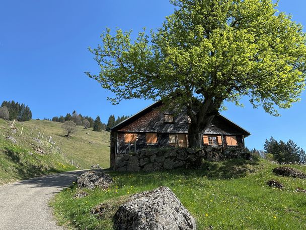Alpe Dürrehorn