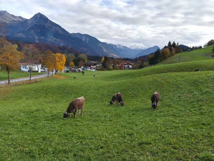 Rund um Fischen
