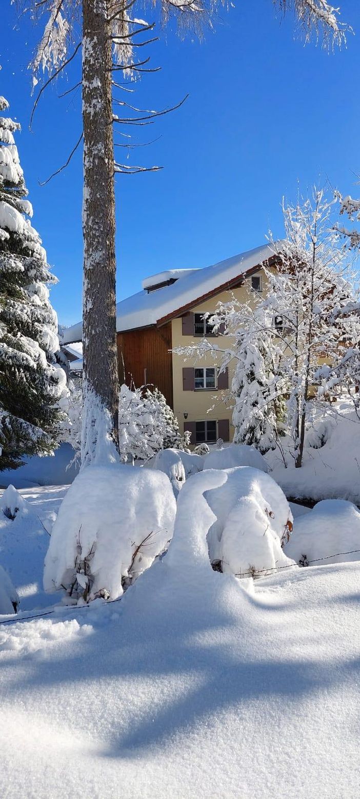 Winterlandschaft