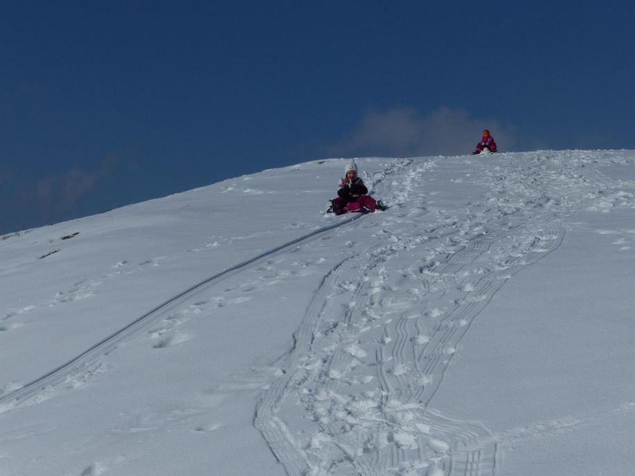 Schlittenfahren am Hausberg