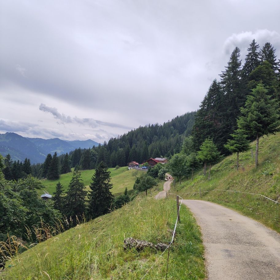 Immenstadt - Alpwirtschaft erleben