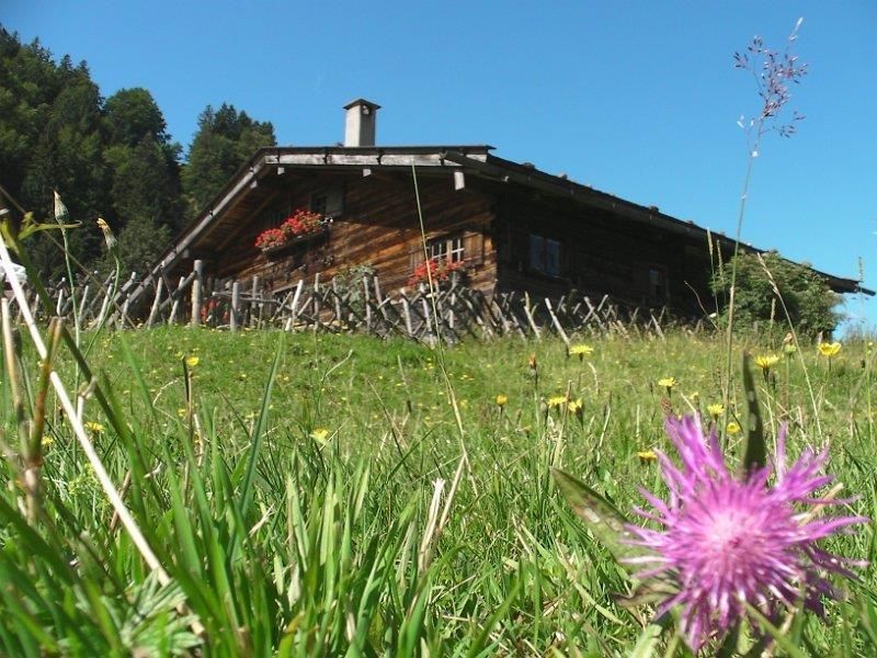 Alpe 3