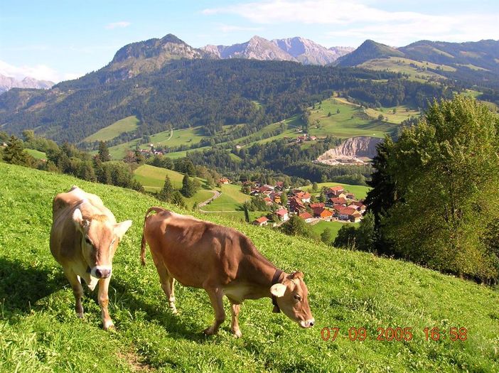 Blick auf Tiefenbach in Richtung Süden