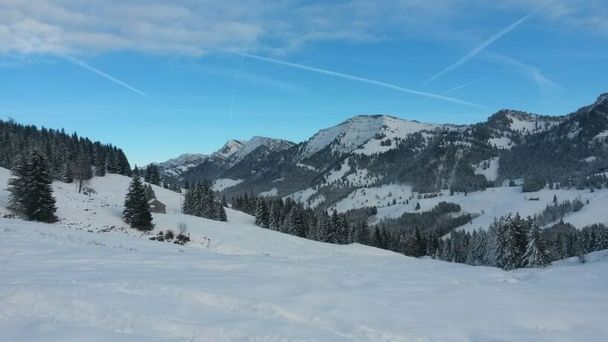 Blick auf den Hochgrat und die Nagelfluhkette