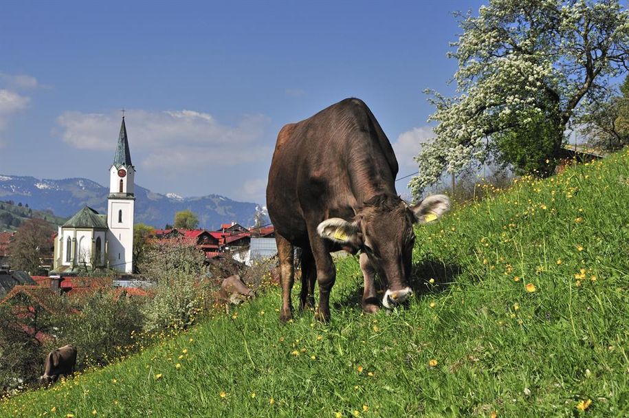 Idylle im Dorf
