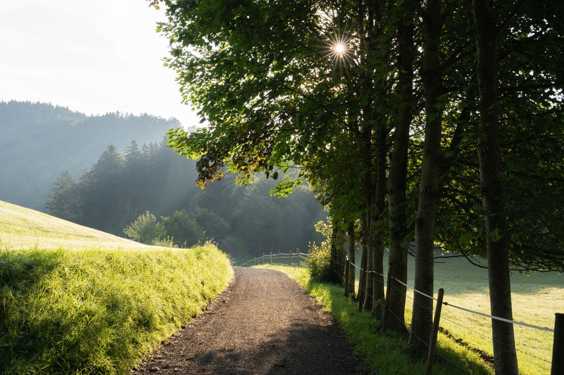 Unterwegs zwischen Buflings und Zell