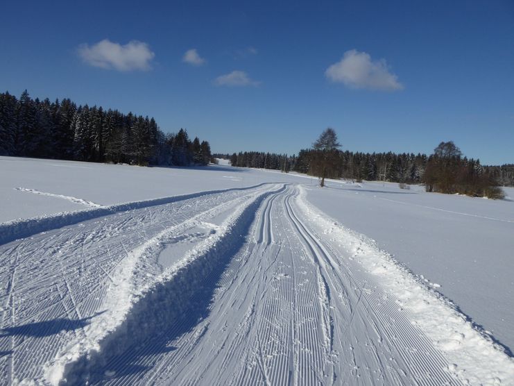 Verbindungsloipe Eisenharz Eglofs