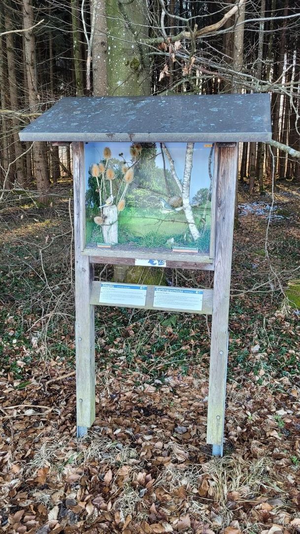 Vogellehrpfad Friesenried