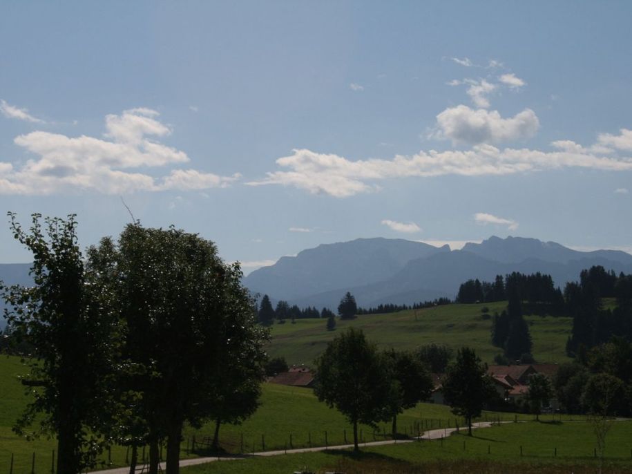 Weg zum Stall