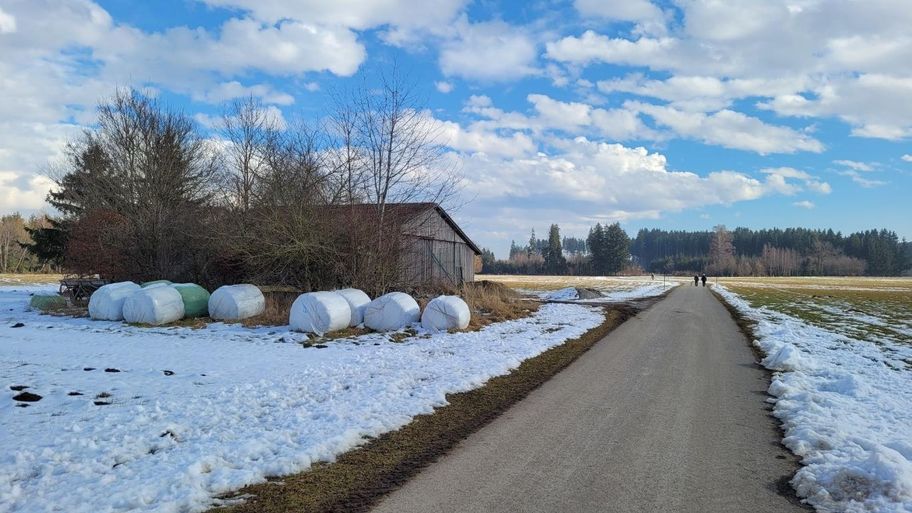 Stadtwaldrunde in Buchloe