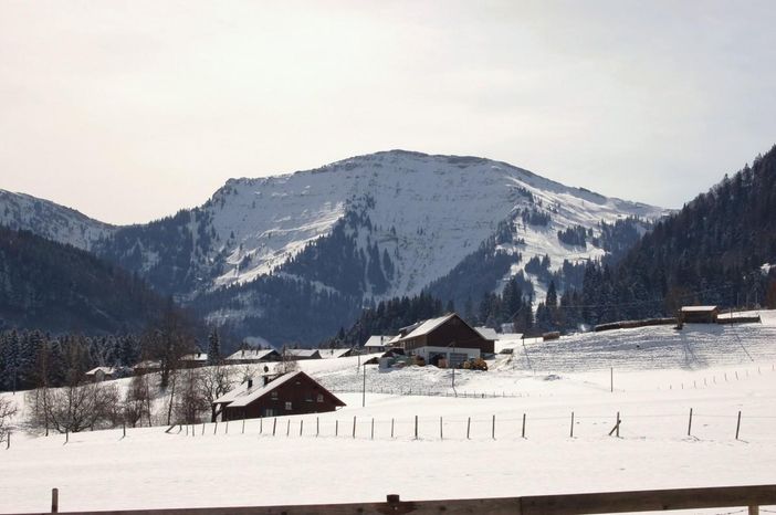 Steibis Blick zum Hochgrat
