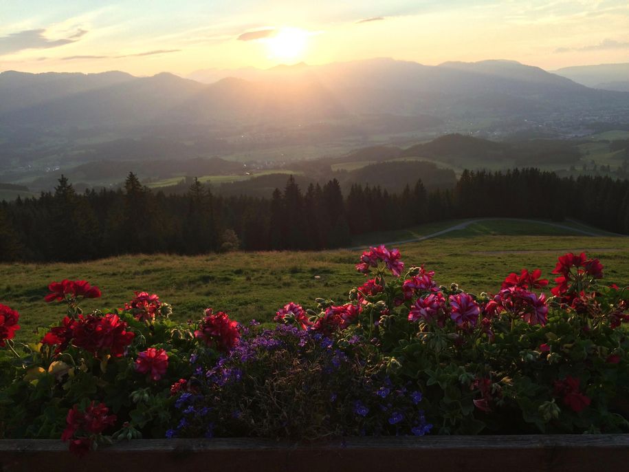 Abendstimmung am Berg