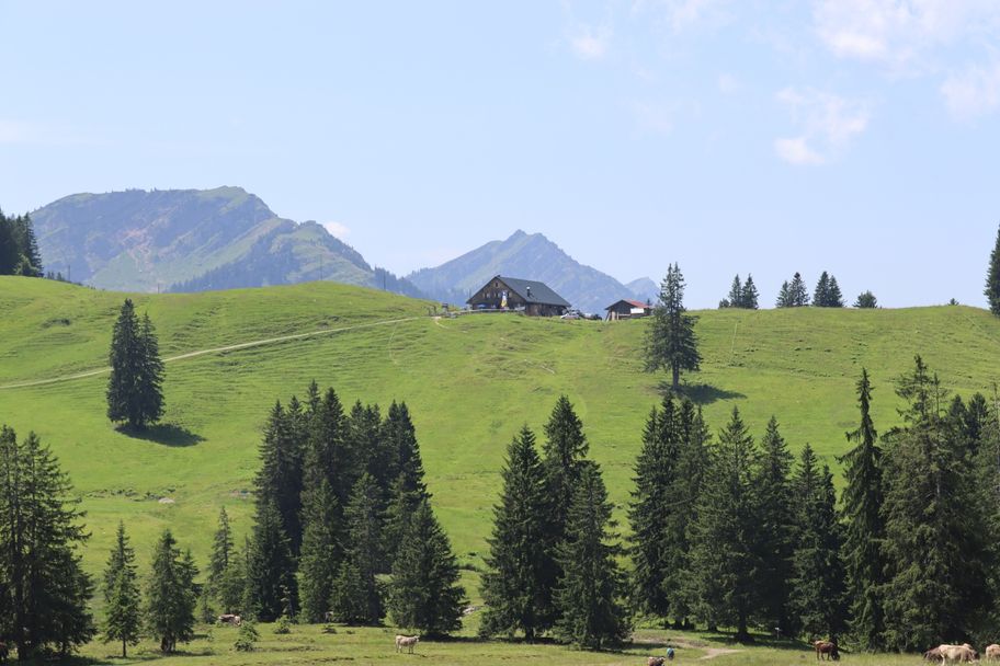 Blick zur Alpe Mittelberg