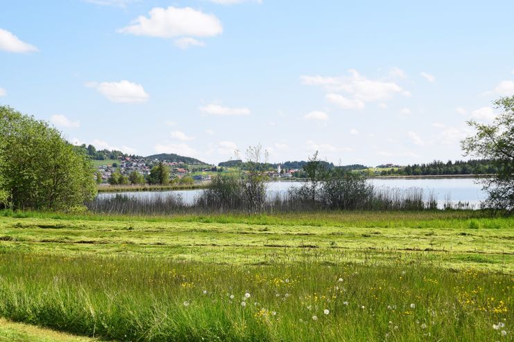 Blick auf Hopfen am See