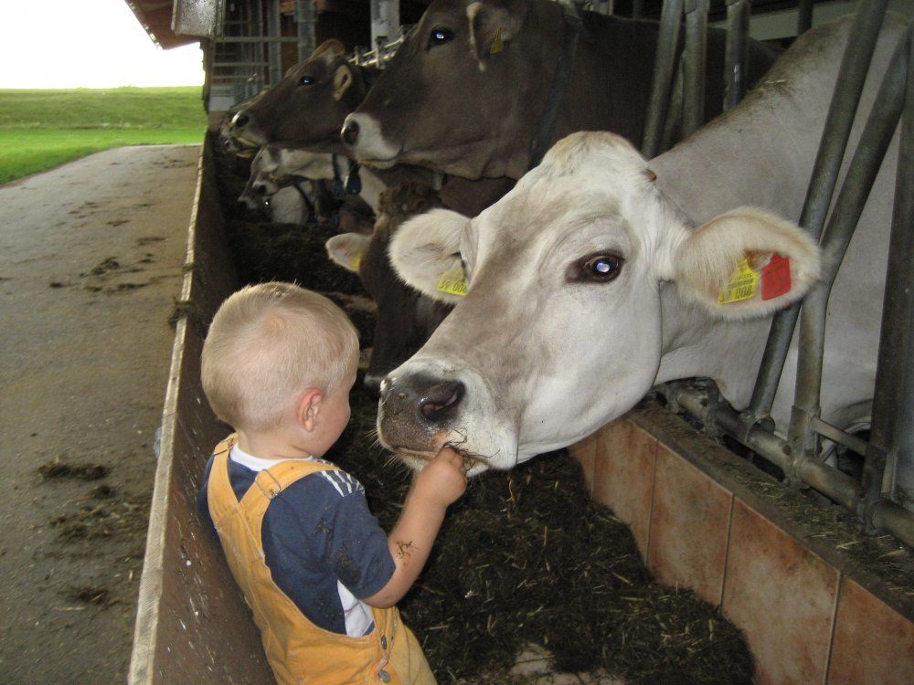 Bei uns im Stall - Landwirtschaft hautnah erleben