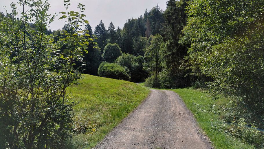 Abwechslungsreicher Weg durch Wiesen und Wälder