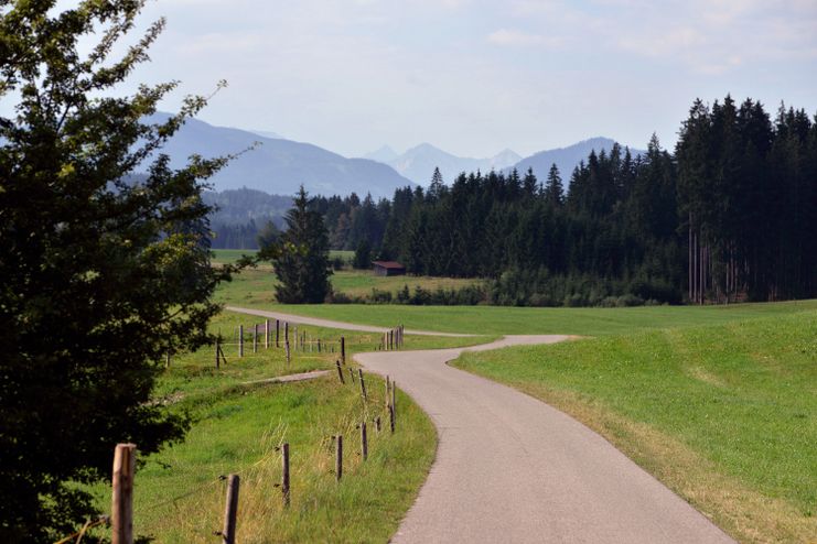 Radweg auf dem 4. Abschnitt der Schlossparkradrunde