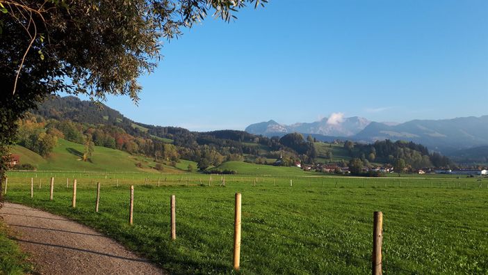 Tolle Wanderwege - direkt vor der Haustüre