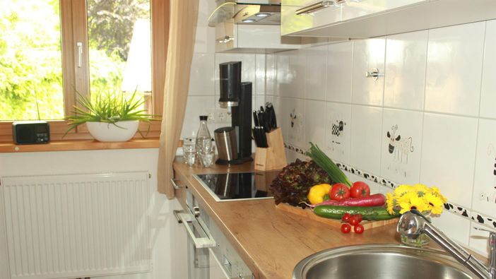 komplett ausgestattete Küche mit Backofen und Spül
