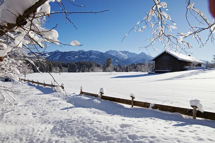 Winterlandschaft mit Bergblick