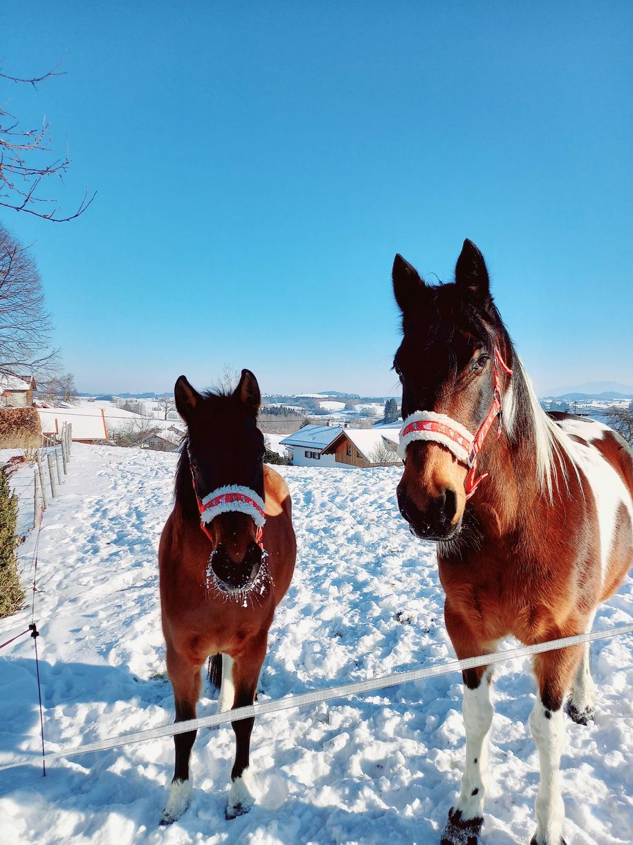 Lilli und Akira Winter