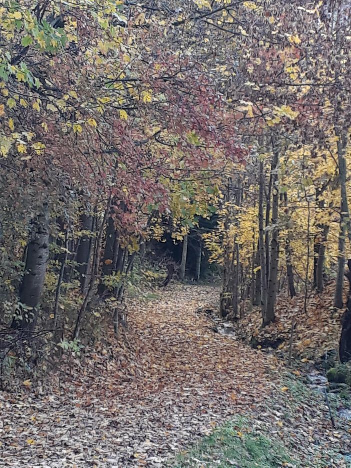 s`herbschtelet....