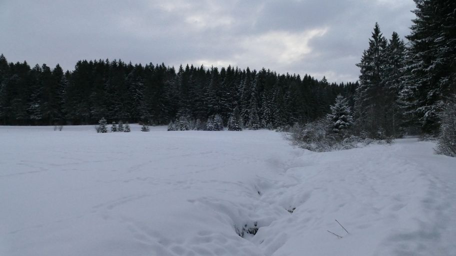 Durch das Schlettermoos zur Jugetalpe