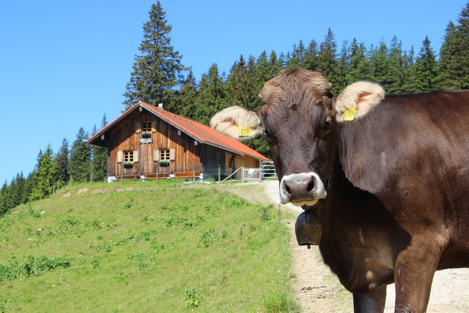Dinserhütte mit Schumpen