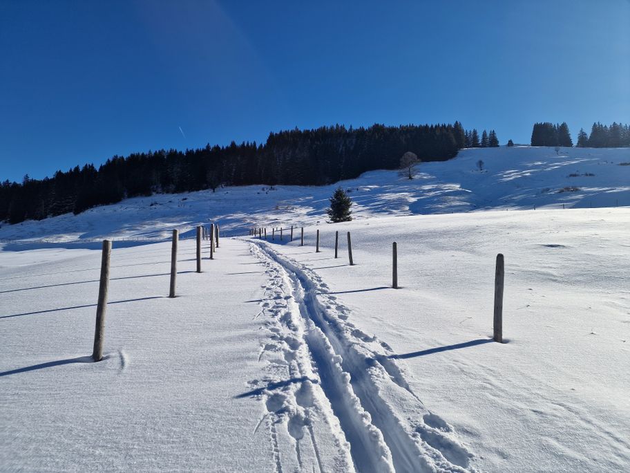 Stubenbachtal-Runde