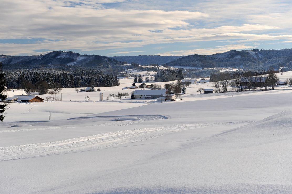 Voralpenland bei Maierhöfen Isny