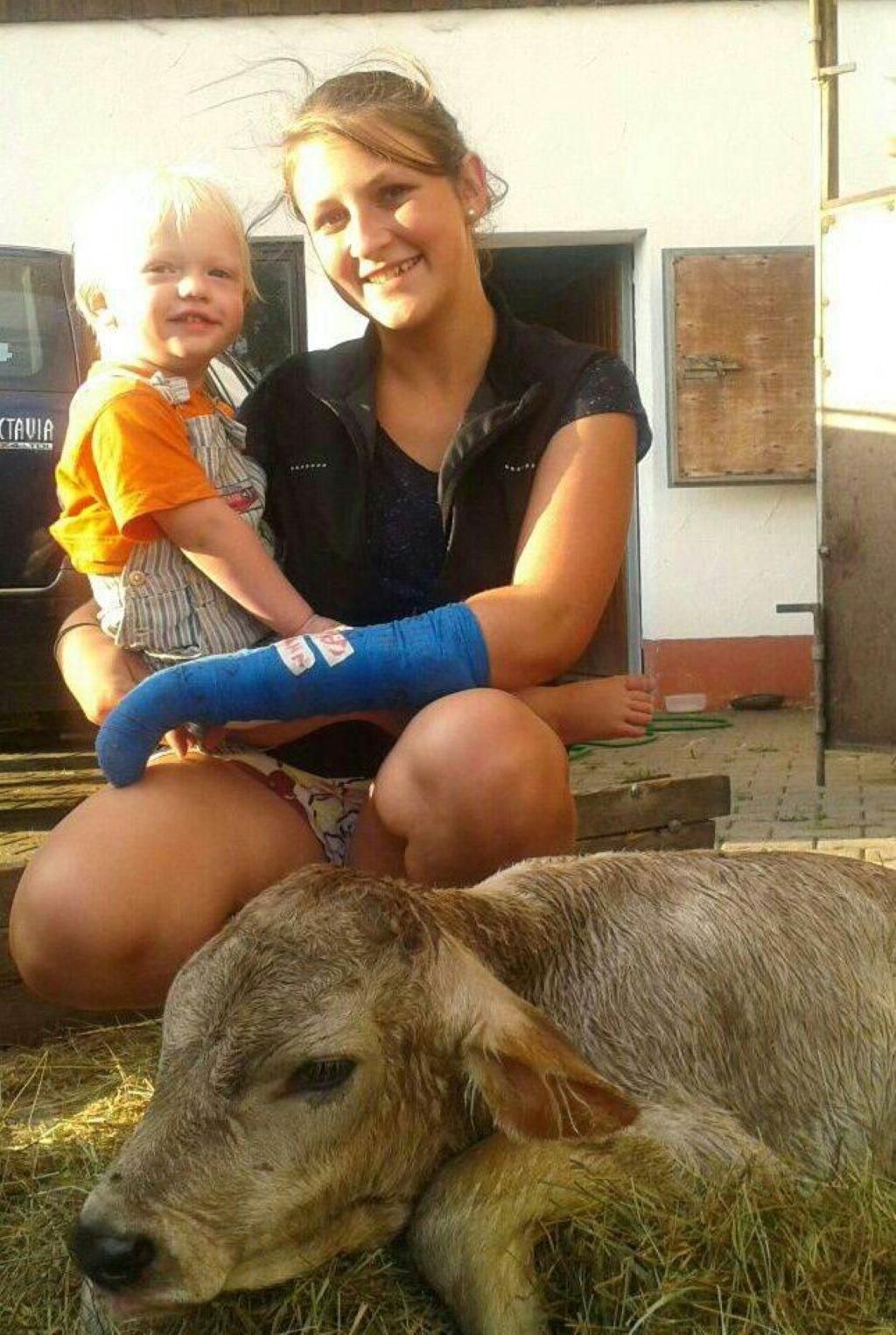 ein Kälbchen ist geboren