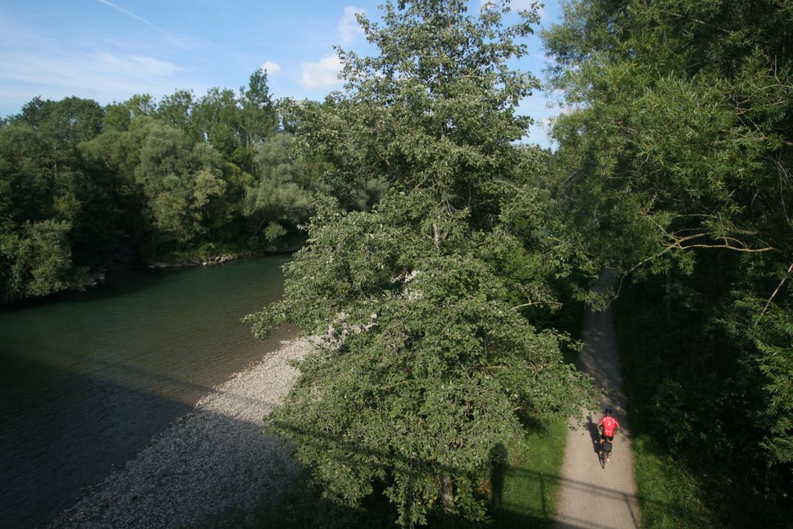 Iller-Radweg nördlich von Kempten